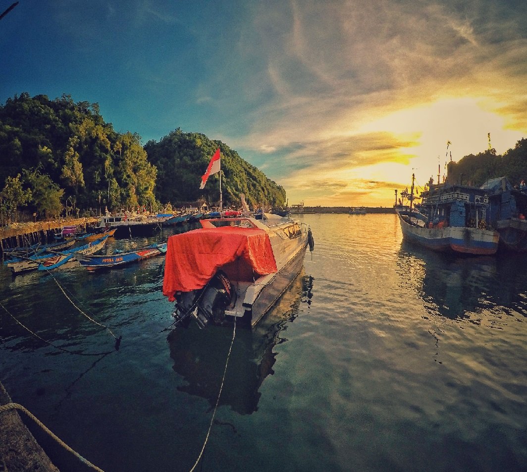 Exploring the Color Trends of Pharmaceutical Companies in Indonesia